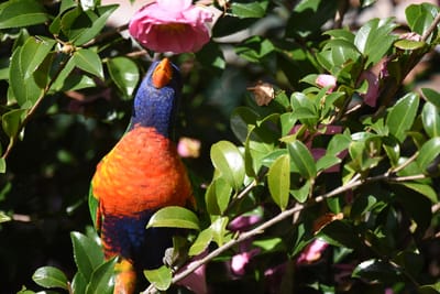 DSC_2422.JPG