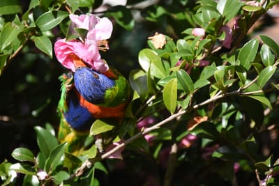 DSC_2428.JPG