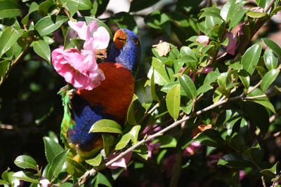 DSC_2430.JPG