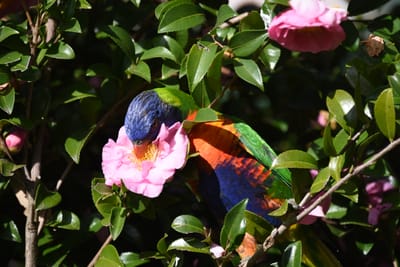 DSC_2432.JPG