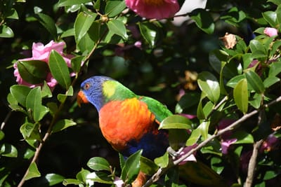 DSC_2433.JPG