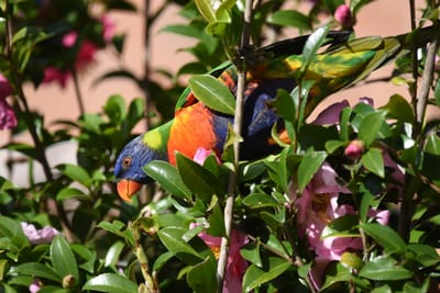 DSC_2435.JPG