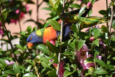 DSC_2437.JPG