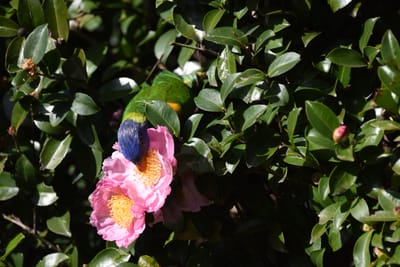 DSC_2449.JPG