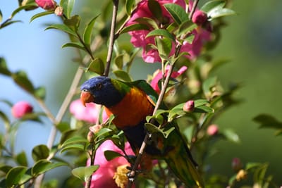 DSC_2459.JPG