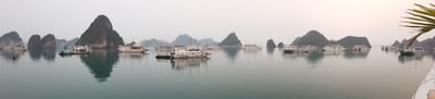 20170411_053753.jpg