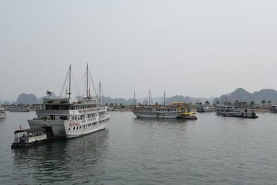 DSC_7116.JPG