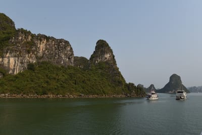 DSC_7130.JPG