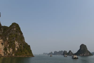 DSC_7131.JPG
