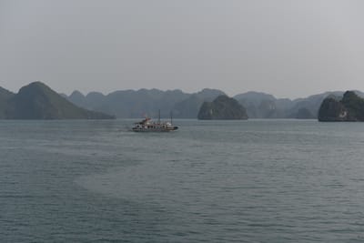 DSC_7168.JPG