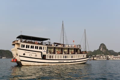 DSC_7217.JPG