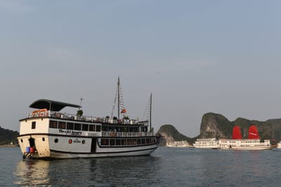 DSC_7218.JPG