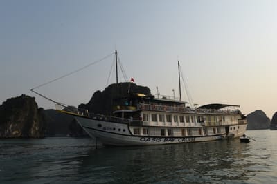 DSC_7225.JPG