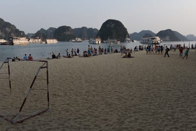 DSC_7230.JPG