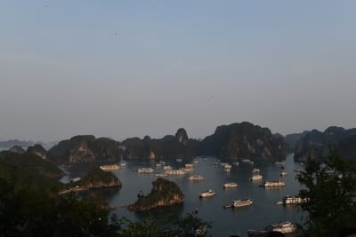 DSC_7231.JPG