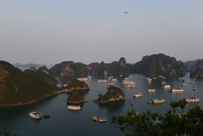 DSC_7232.JPG