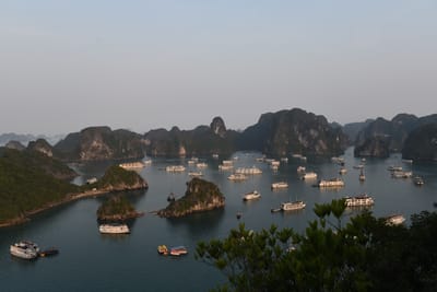 DSC_7234.JPG