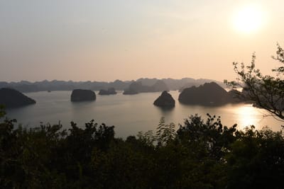 DSC_7235.JPG