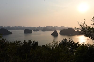 DSC_7236.JPG