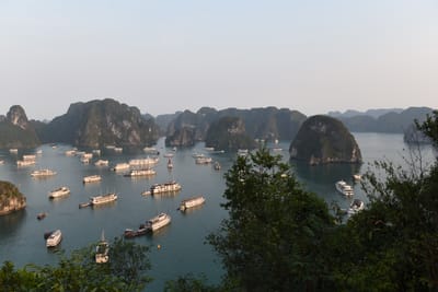 DSC_7239.JPG
