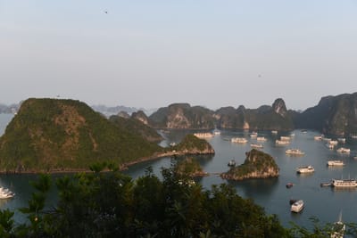 DSC_7240.JPG