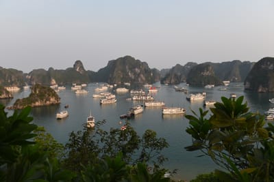 DSC_7246.JPG