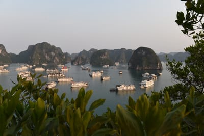 DSC_7248.JPG