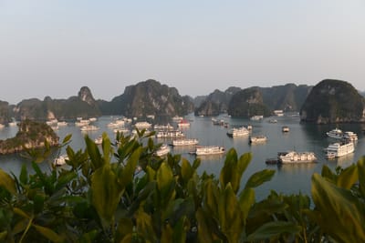 DSC_7250.JPG