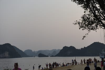 DSC_7264.JPG