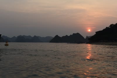 DSC_7275.JPG