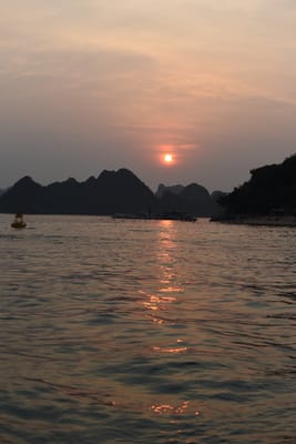 DSC_7276.JPG