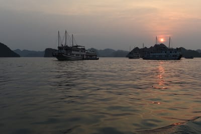 DSC_7278.JPG