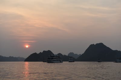 DSC_7281.JPG
