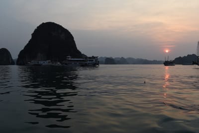 DSC_7282.JPG
