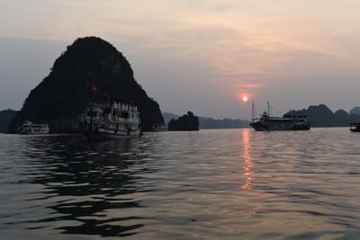 DSC_7286.JPG