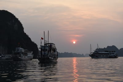 DSC_7287.JPG