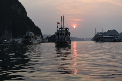 DSC_7288.JPG