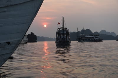 DSC_7289.JPG