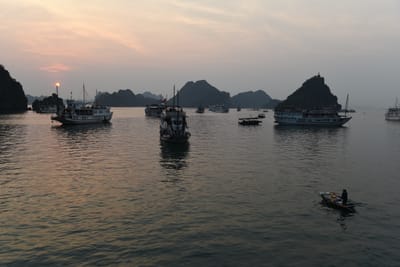 DSC_7292.JPG