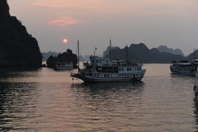 DSC_7300.JPG