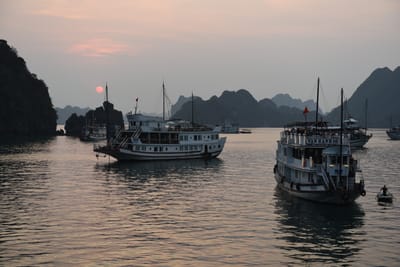 DSC_7305.JPG
