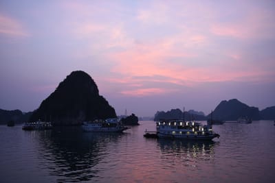 DSC_7315.JPG