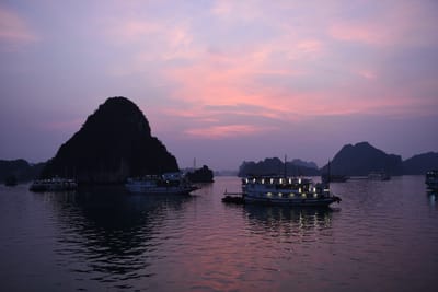 DSC_7316.JPG