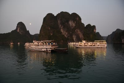 DSC_7317.JPG