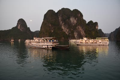 DSC_7318.JPG