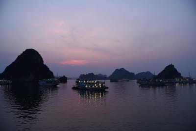 DSC_7323.JPG