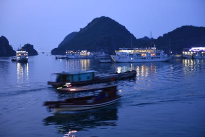 DSC_7328.JPG