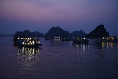 DSC_7329.JPG