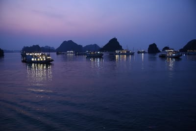 DSC_7330.JPG