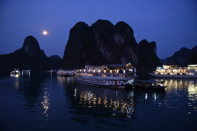 DSC_7336.JPG